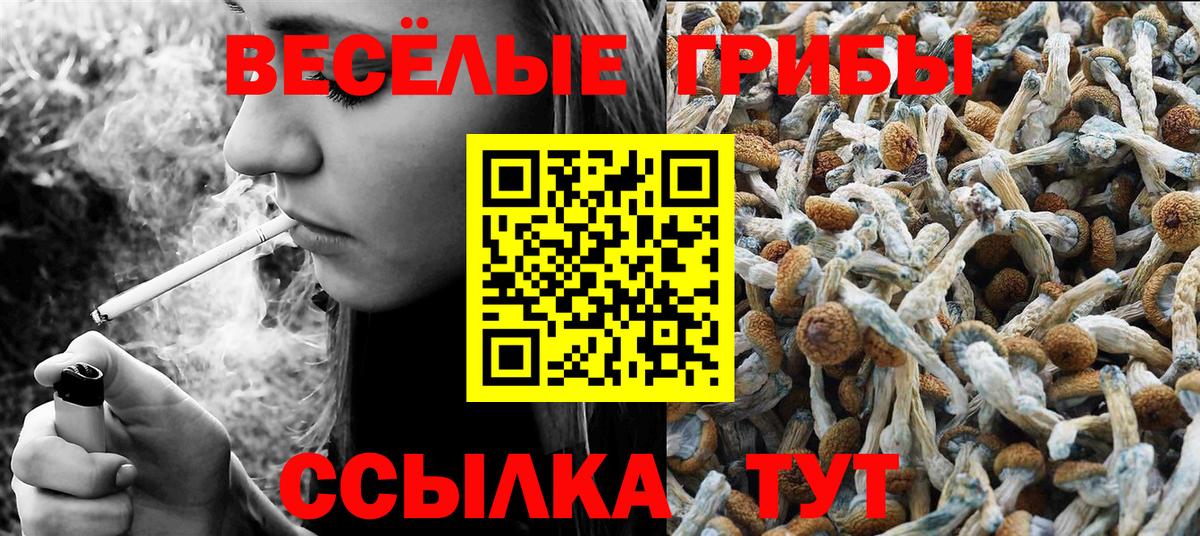 Псилоцибиновые грибы Cubensis Туймазы