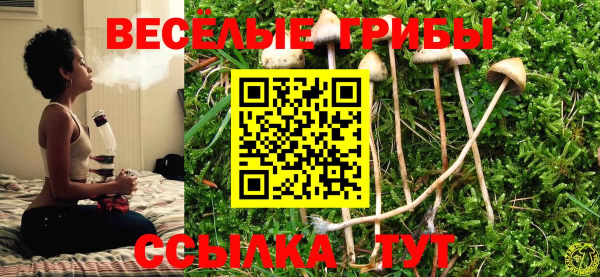 Псилоцибиновые грибы Cubensis  Вход с VPN  где можно купить   Туймазы 