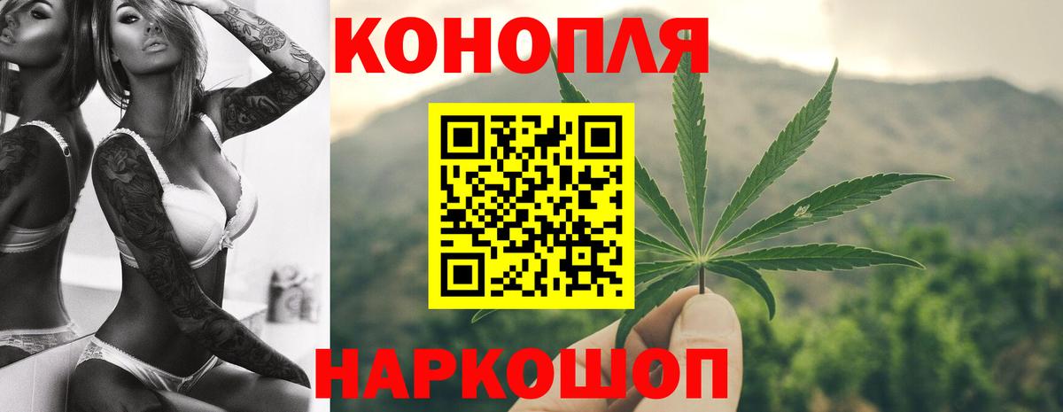 Бошки марихуана гибрид  Каннабис планчик  Вход с VPN  Туймазы 